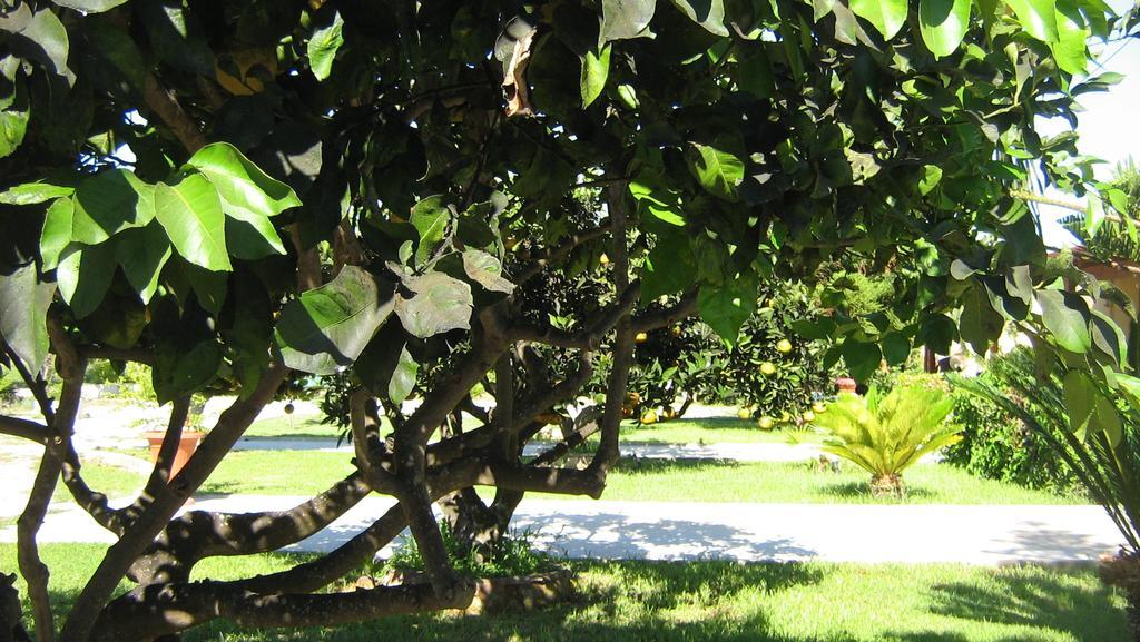 Tenuta Paifer Otranto Exterior foto